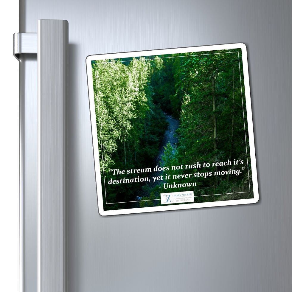 Thumbnail: Emerald Stream Quote Magnet