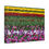 Thumbnail: Bright Colors beyond the Horizon Canvas Wrap