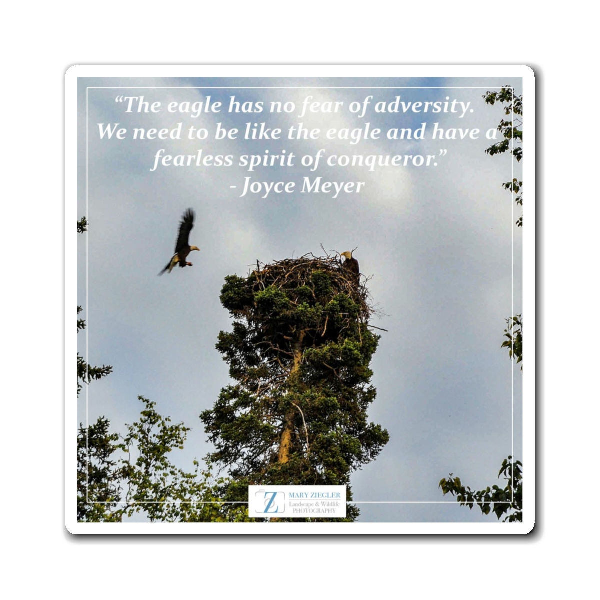 Fearless in Flight Quote Magnet