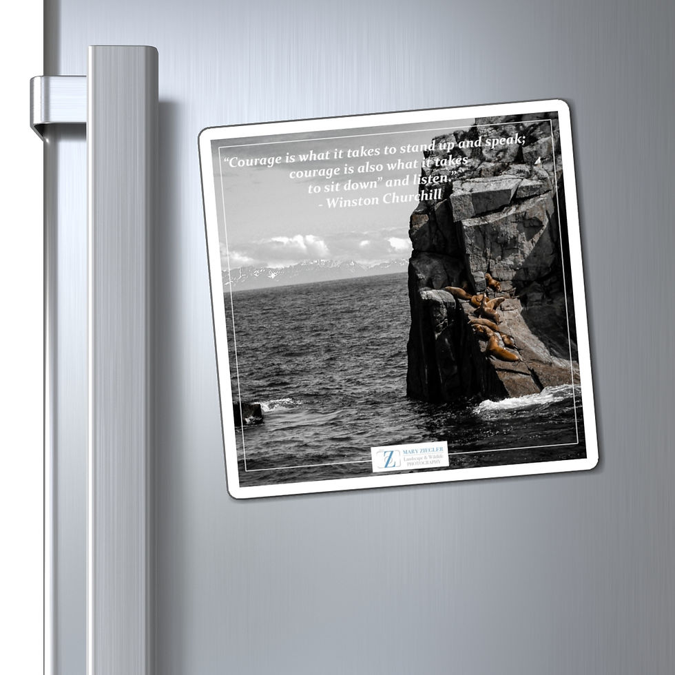 Thumbnail: Seals on the Bay BNW Quote Magnet
