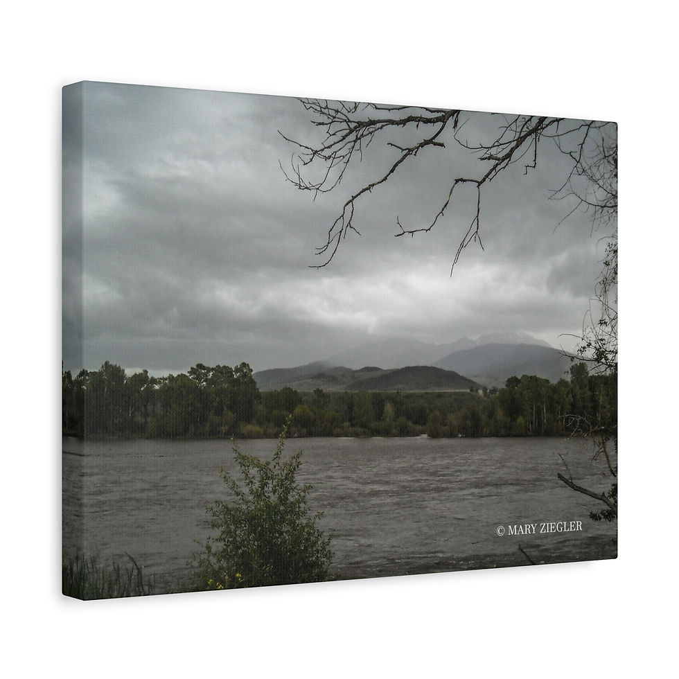 Thumbnail: "Lightning Bolt Limbs" Canvas Wrap, Lake Superior, North Shore, Minnesota