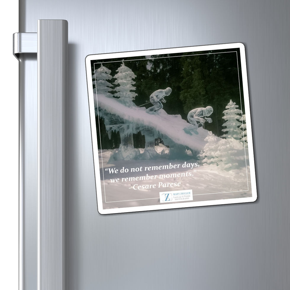 Thumbnail: The Cold Rush Quote Magnet