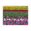 Thumbnail: Bright Colors beyond the Horizon Canvas Wrap