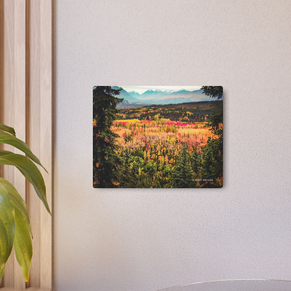 Thumbnail: "Awe of Denali" Metal Print, Denali National Park, Alaska