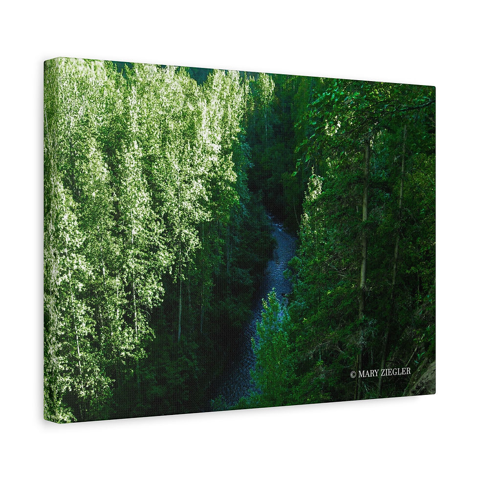 Thumbnail: "Emerald Stream" Canvas Wrap, Thunder Falls Trail, Alaska