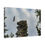 Thumbnail: Fearless in Flight Canvas Wrap