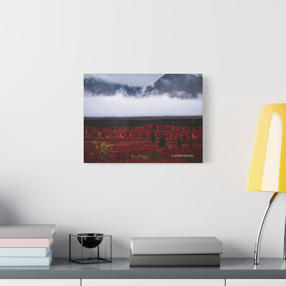 Thumbnail: "Mystic Fog" Canvas Wrap, Denali National Park, Alaska