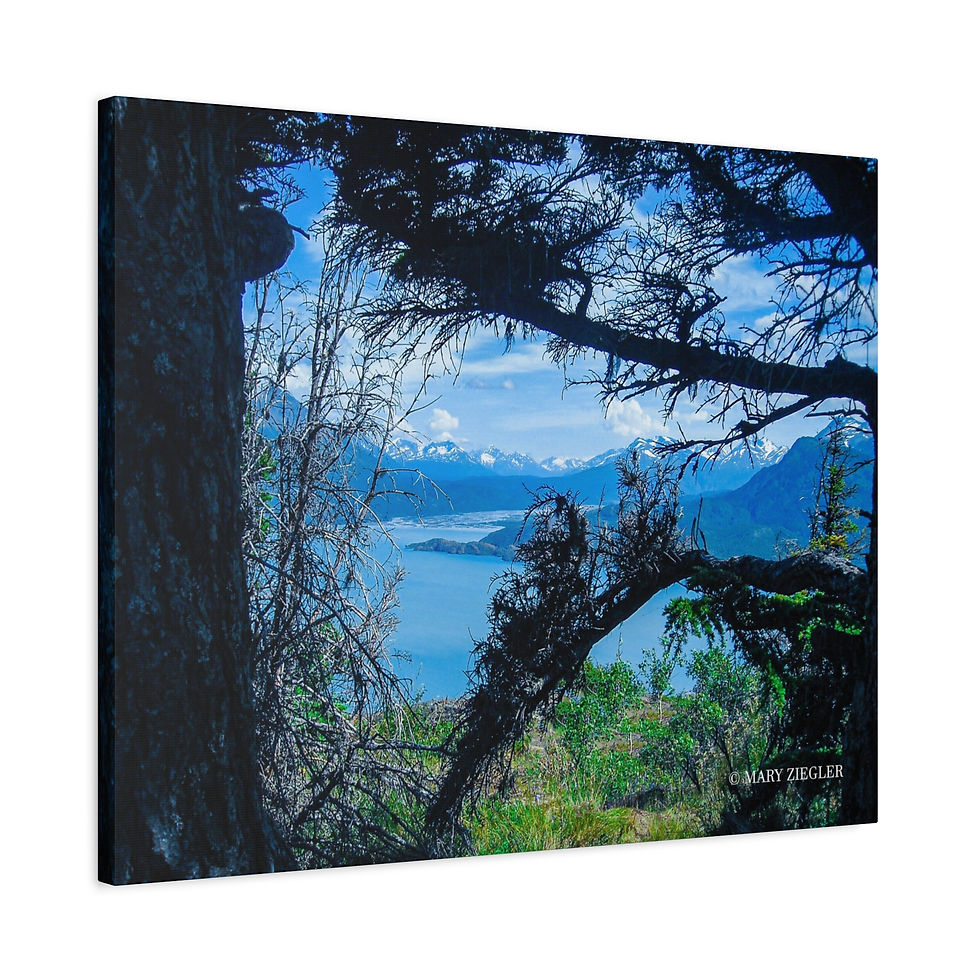 Thumbnail: "Behind the Scenes" Canvas Wrap, Portage Valley Area, Alaska