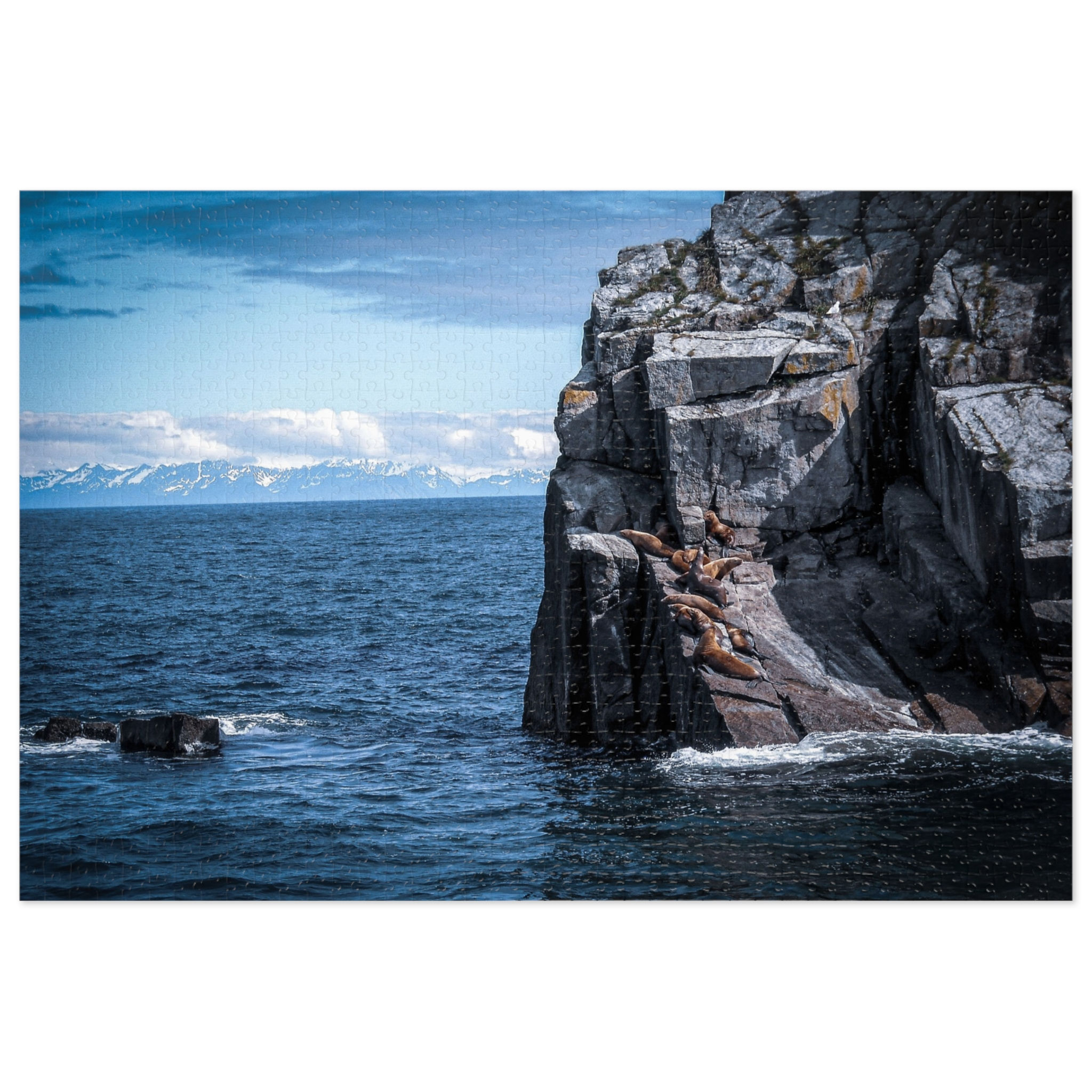 Seals on The Bay Puzzle (252, 500, 1000 Piece)