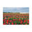 Thumbnail: Bold Colors Canvas Wrap