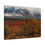 Thumbnail: Rich in Foliage Canvas Wrap