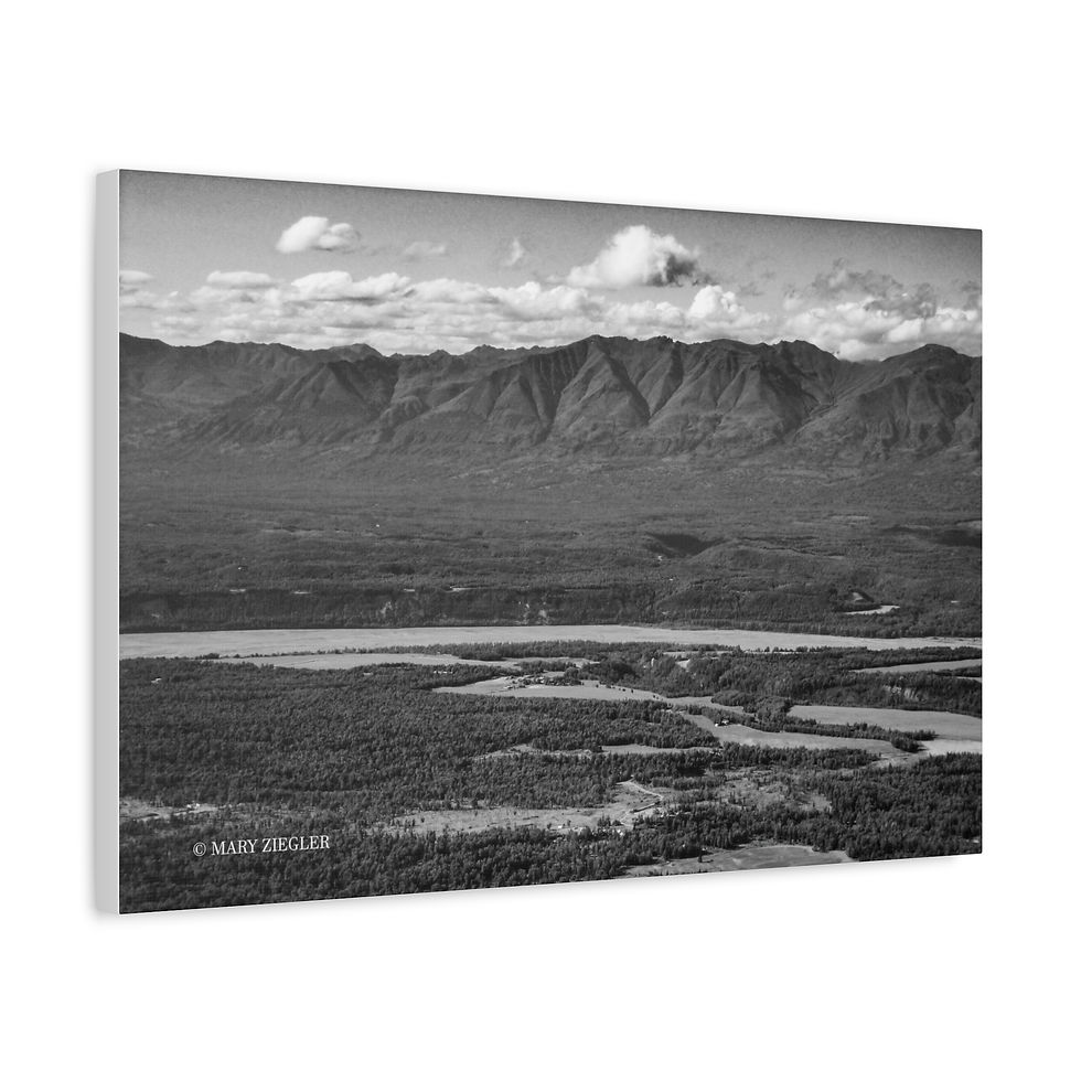 Thumbnail: "The Beauty of Diversity" Canvas, Talkeetna Mountains, Palmer, Alaska