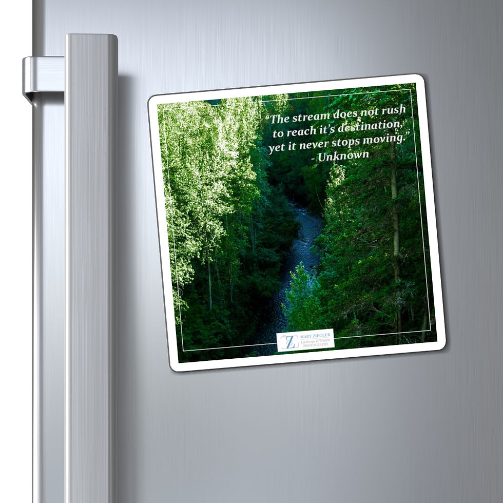 Thumbnail: Emerald Stream Quote Magnet