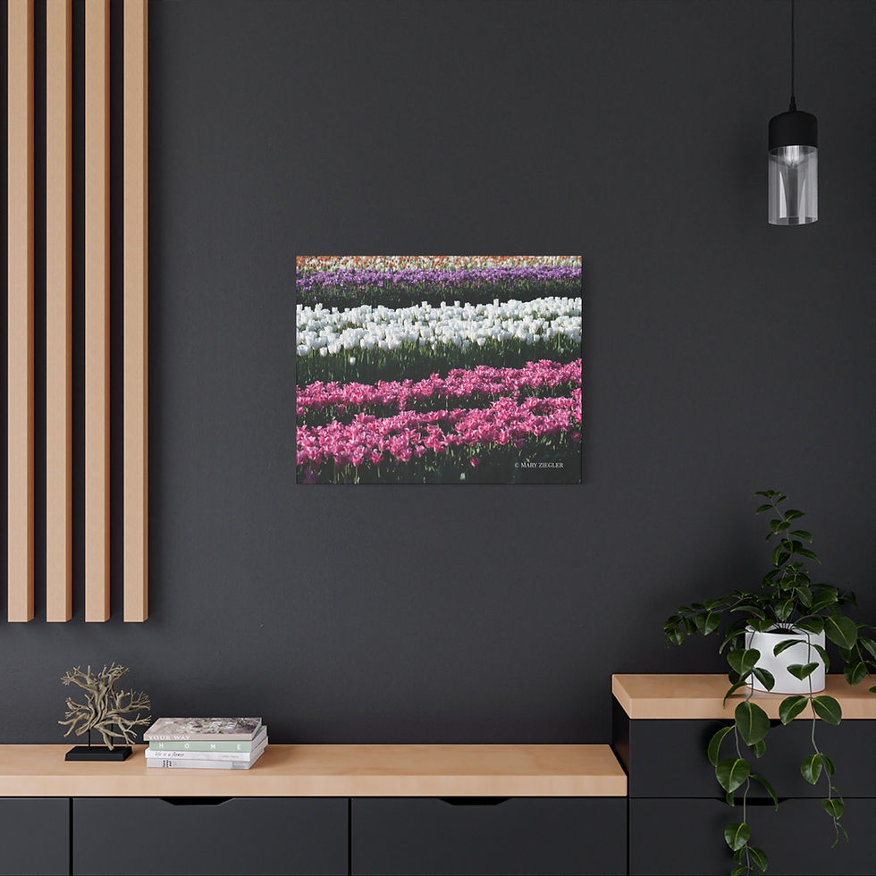 Thumbnail: "Blossoms Of Light" Canvas Wrap, Richardson's Farm, Spring Grove, Illinois