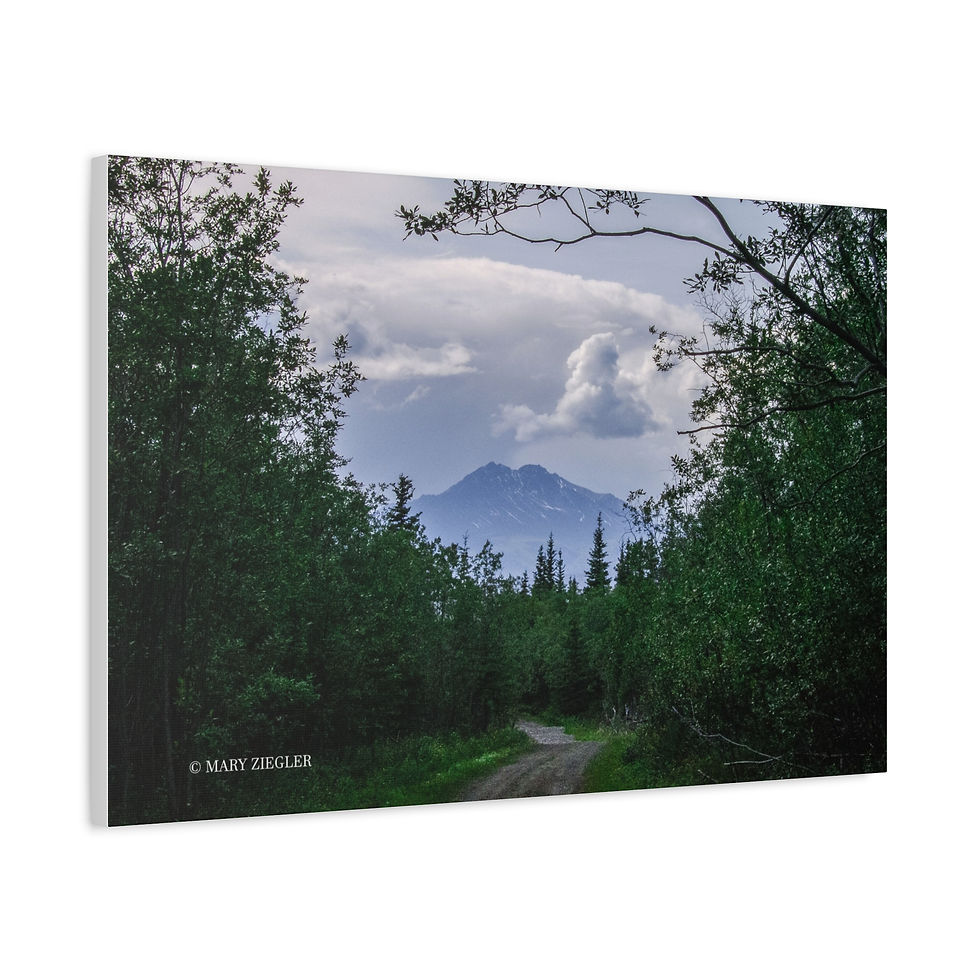 Thumbnail: "Forest Passage" Canvas, Wrangell Mountains, Alaska