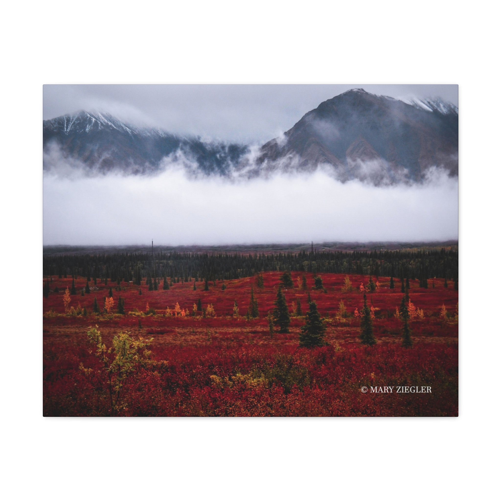 "Mystic Fog" Canvas Wrap, Denali National Park, Alaska