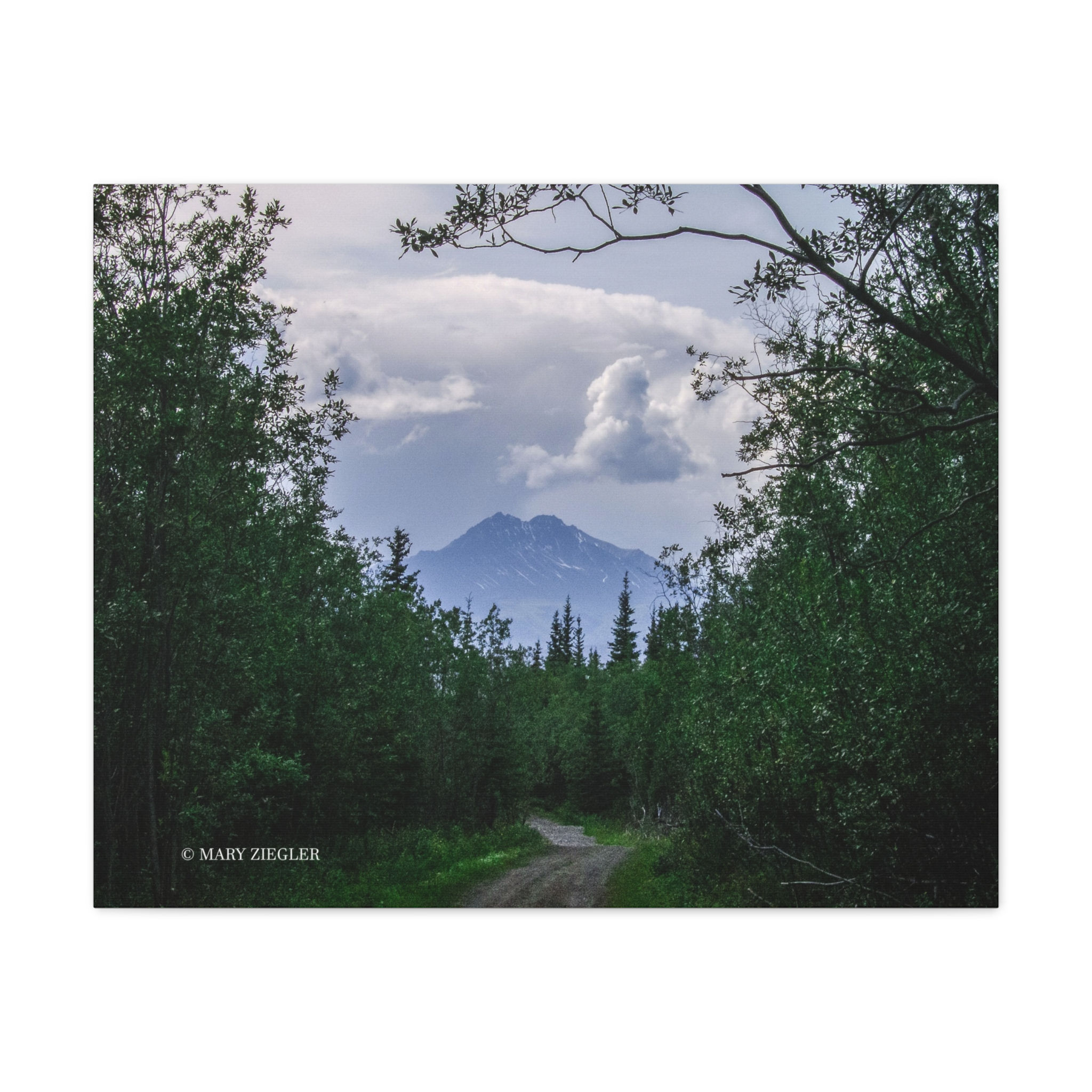 "Forest Passage" Canvas, Wrangell Mountains, Alaska