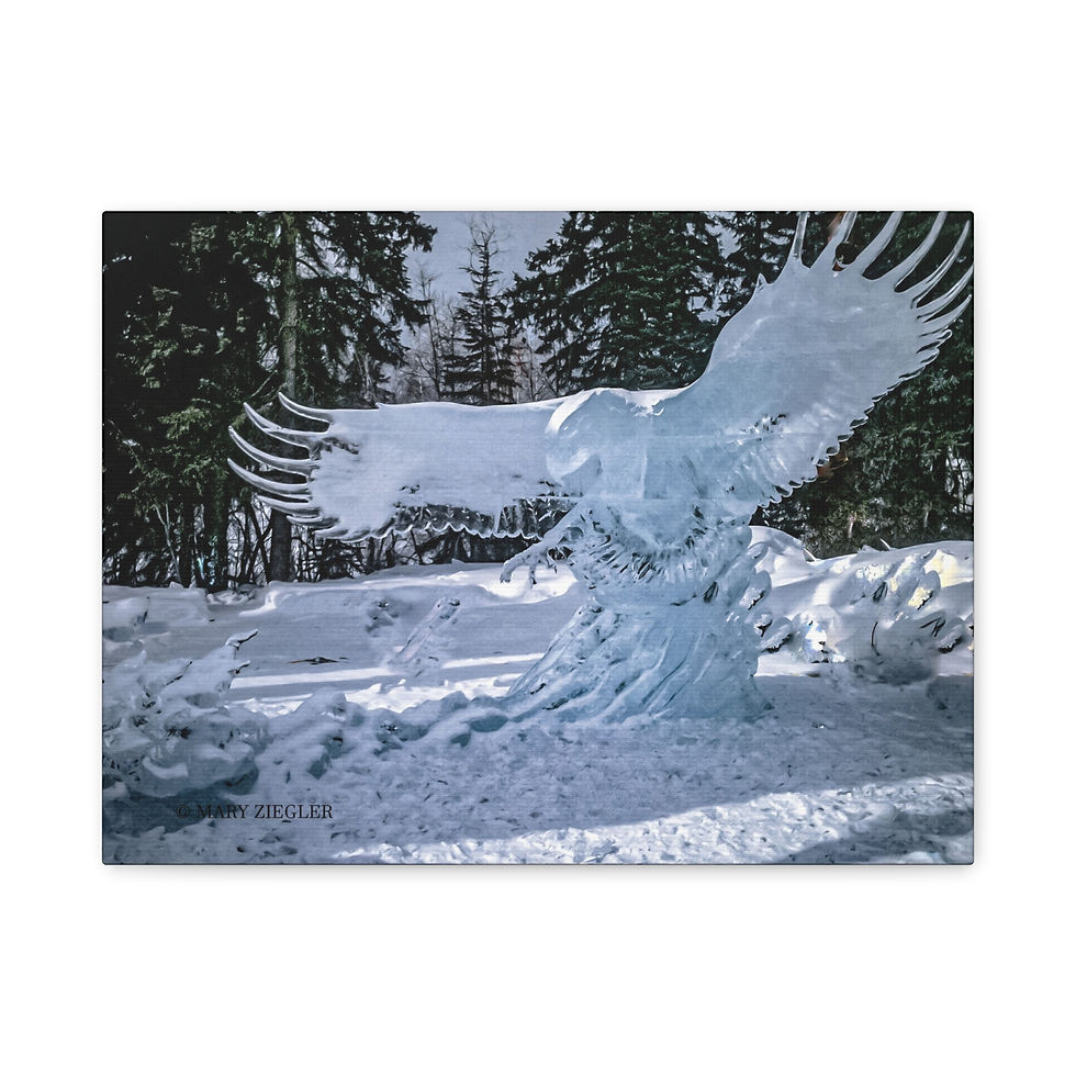 Thumbnail: "Arctic Sentinel" Canvas Wrap, Ice Alaska, Fairbanks, Alaska