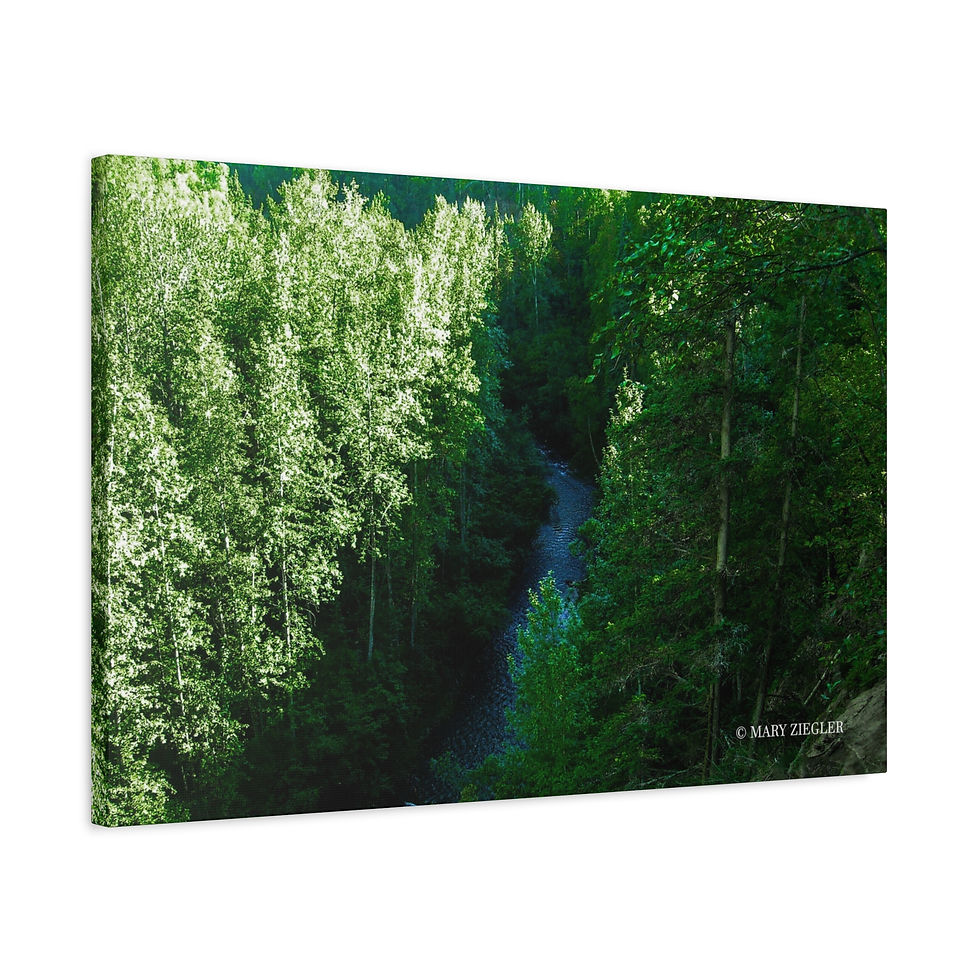 Thumbnail: "Emerald Stream" Canvas Wrap, Thunder Falls Trail, Alaska