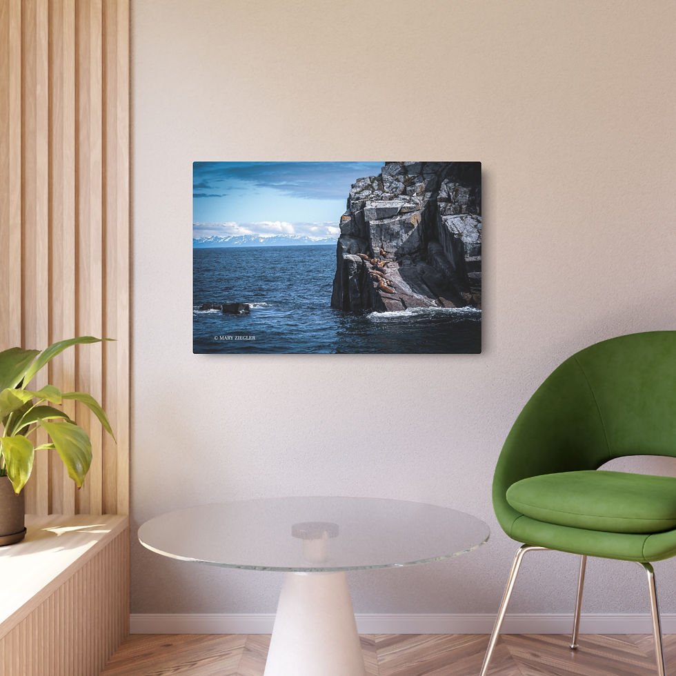 Thumbnail: "Seals on the Bay" Metal Print, Resurrection Bay, Seward, Alaska