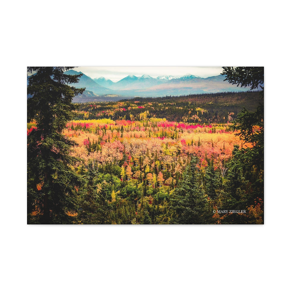 Thumbnail: "Awe of Denali" Canvas, Denali National Park, Alaska