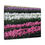 Thumbnail: Rows of Sweet Tulips Canvas Wrap