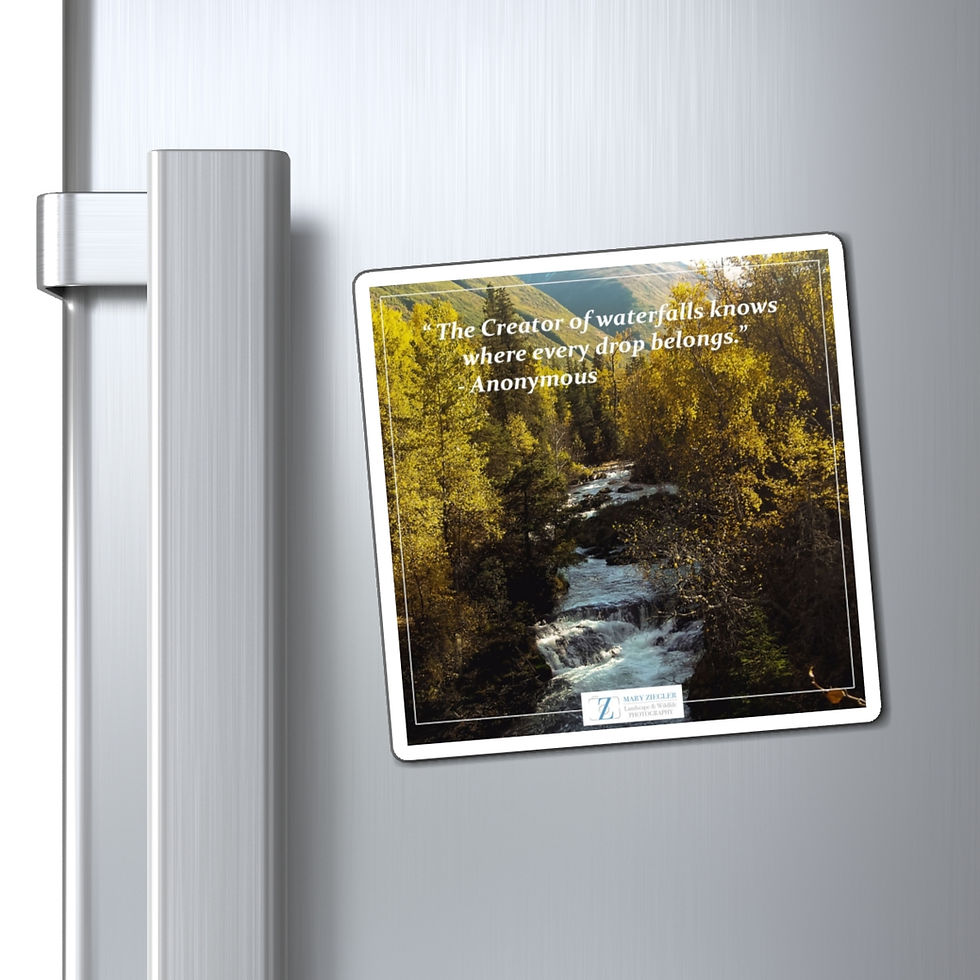 Thumbnail: Amber Falls Quote Magnet