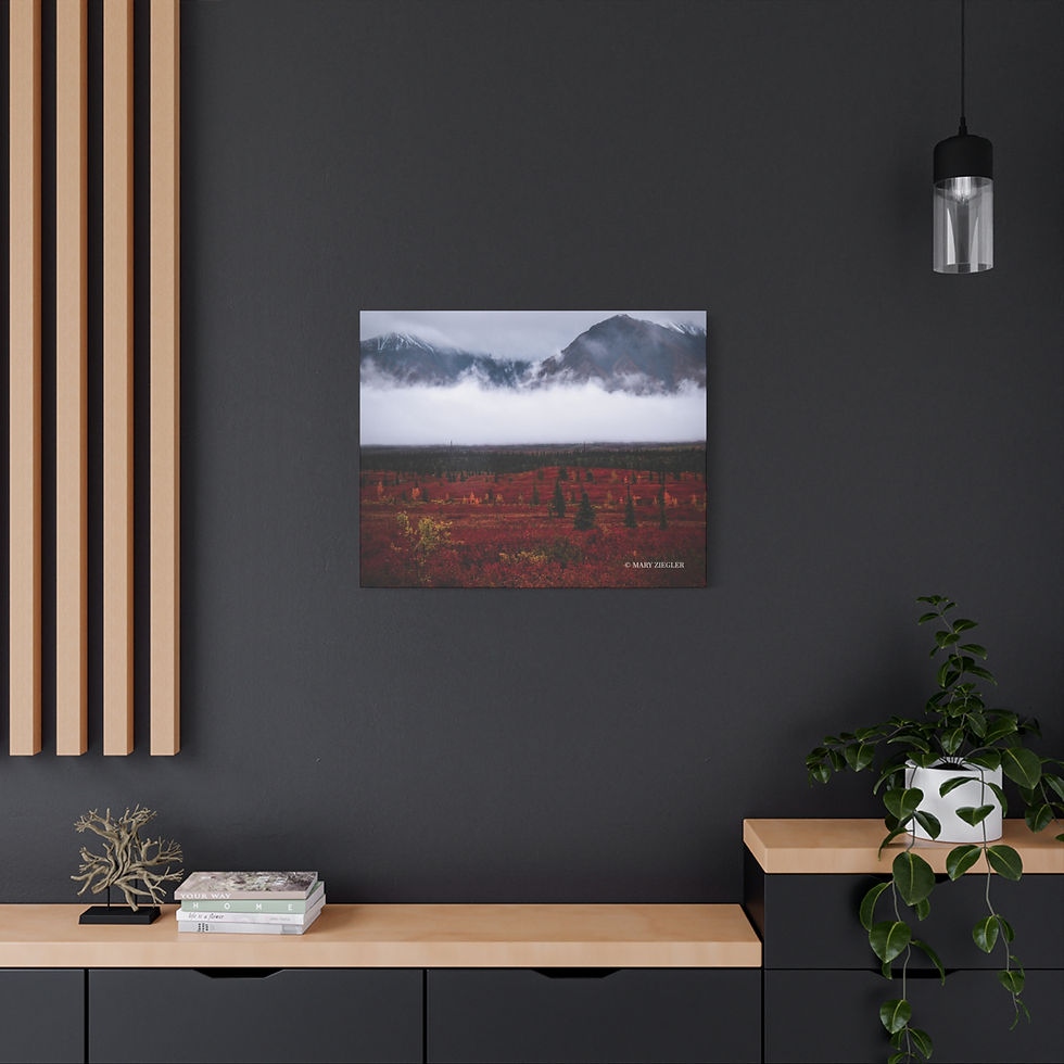 Thumbnail: "Mystic Fog" Canvas Wrap, Denali National Park, Alaska
