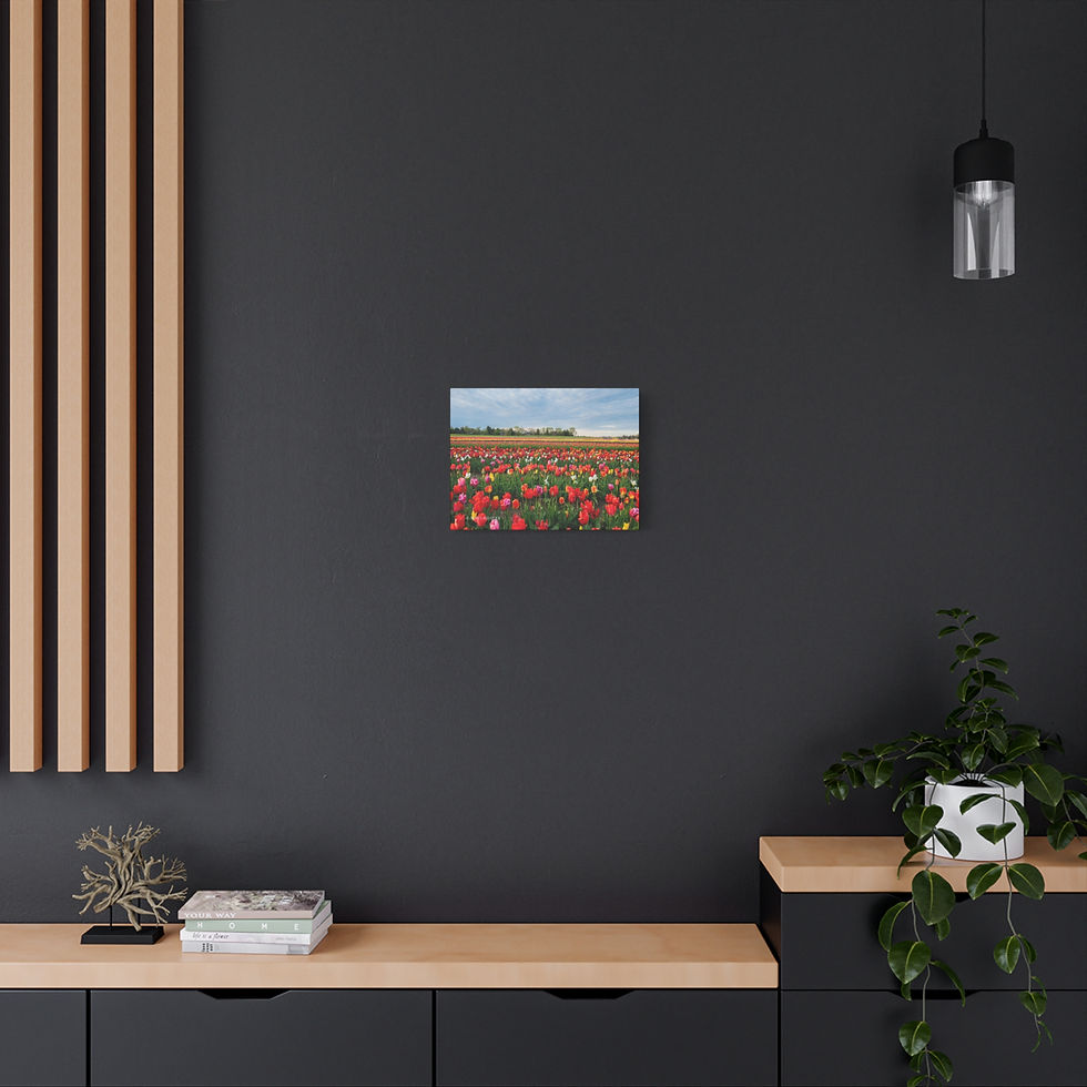 Thumbnail: "Rainbow Fields" Canvas Wrap, Richardson's Farm, Spring Grove, IL