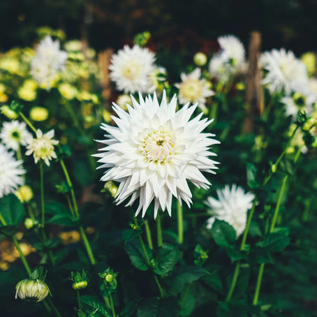 It's Time We Become Aware of Planetary Health