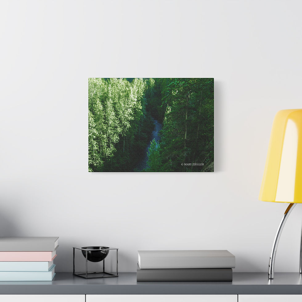 Thumbnail: "Emerald Stream" Canvas Wrap, Thunder Falls Trail, Alaska