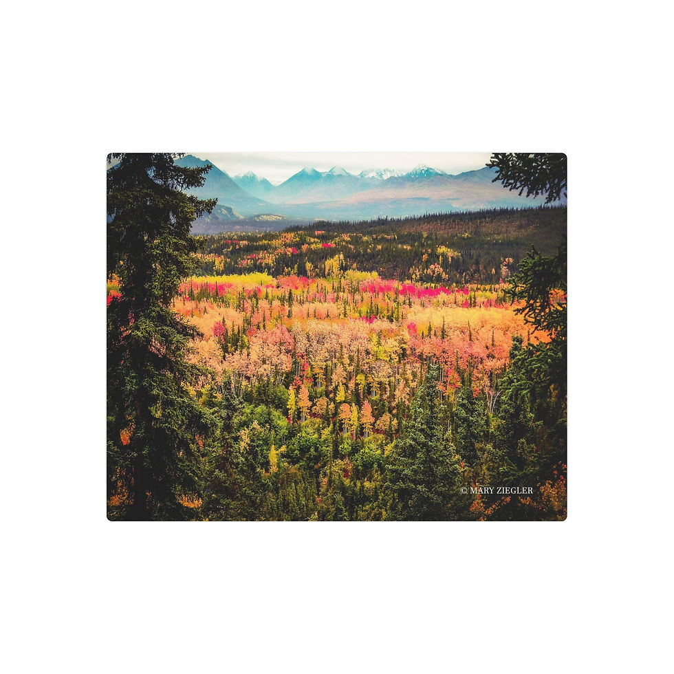 Thumbnail: "Awe of Denali" Metal Print, Denali National Park, Alaska
