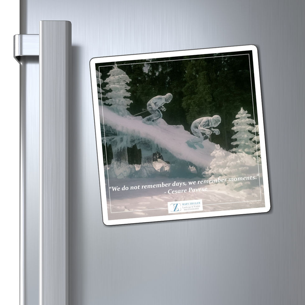 Thumbnail: The Cold Rush Quote Magnet