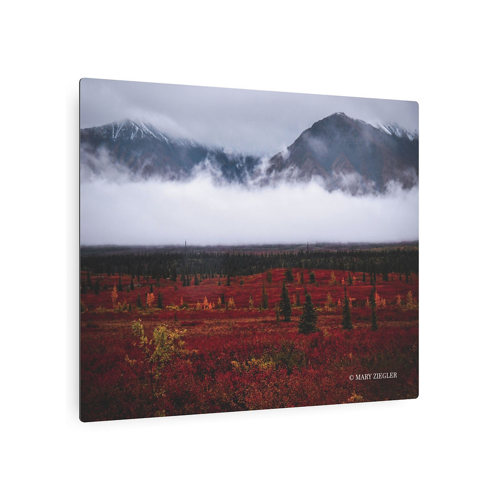 Thumbnail: "Mystic Fog" Metal Print, Denali National Park, Alaska