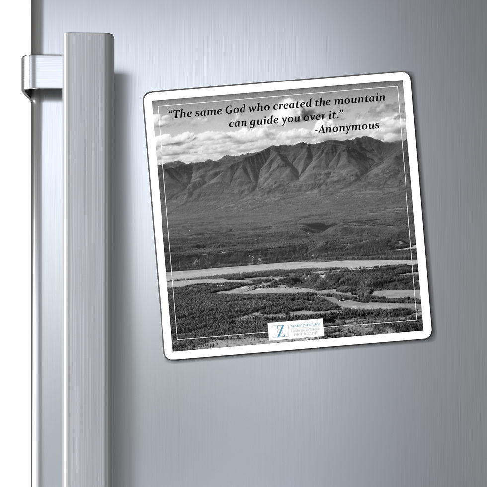 Thumbnail: The Beauty of Diversity Quote Magnet