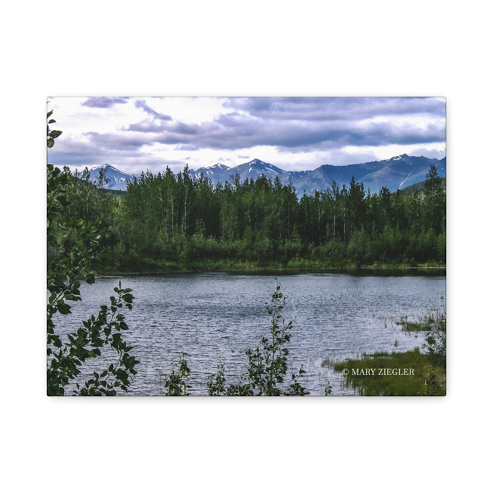 Thumbnail: "Stillwater Pines" Canvas Wrap, Long Lake, Chitina, Alaska