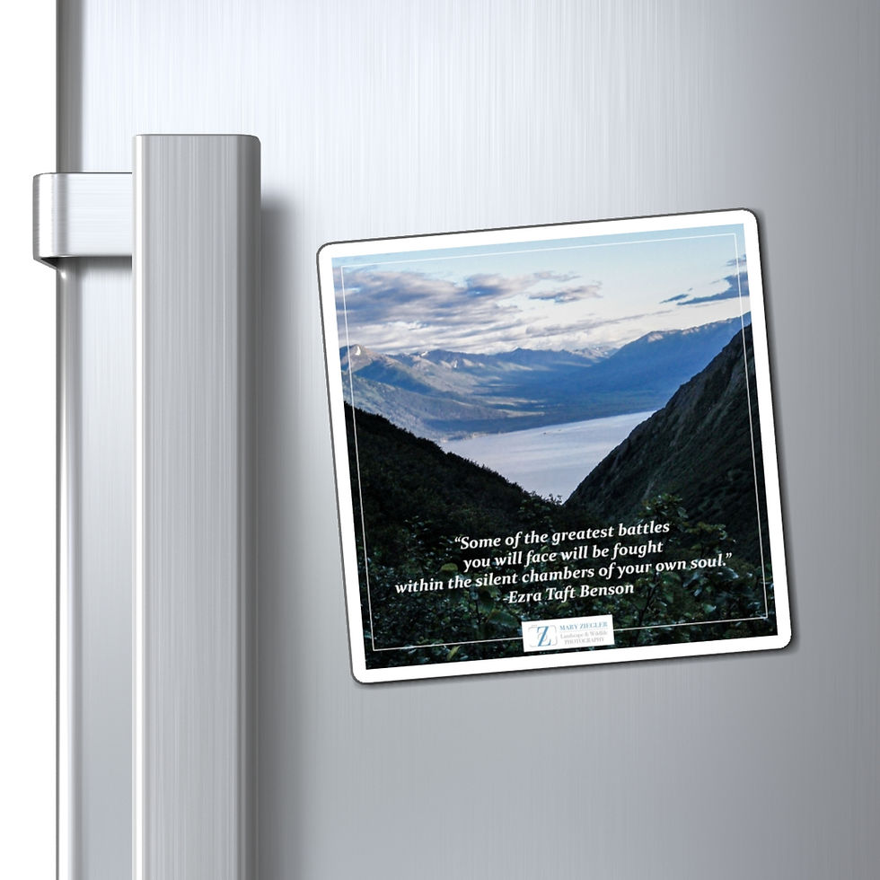 Thumbnail: Awesome 3V View Quote Magnet