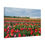 Thumbnail: Bold Colors Canvas Wrap