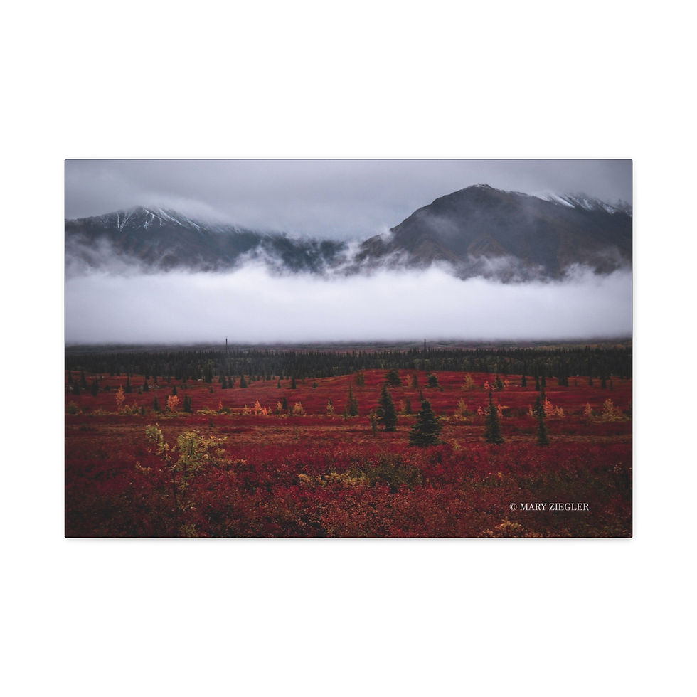 Thumbnail: Mystic Fog in rich Color Canvas 