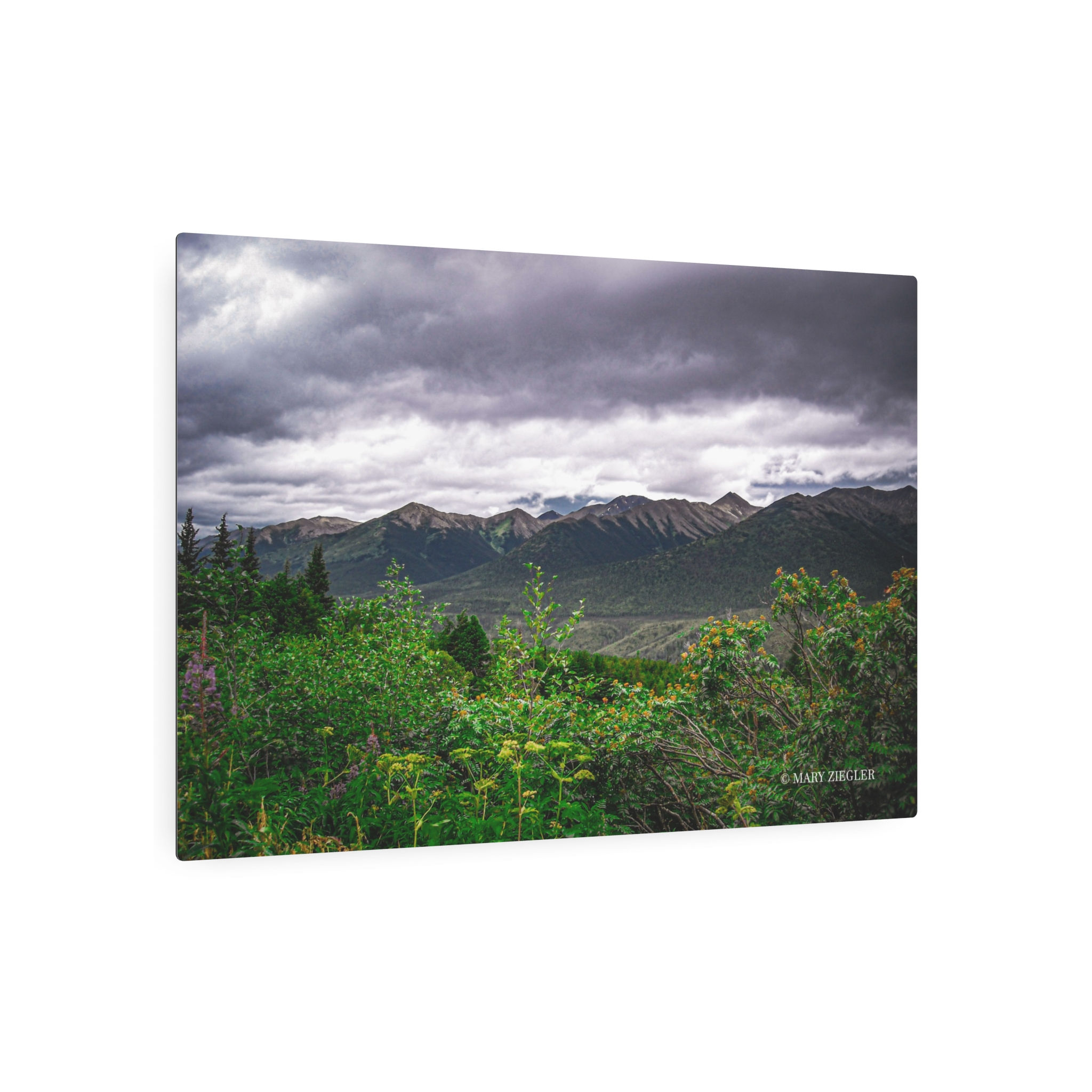 Roots & Ridges Metal Art Sign