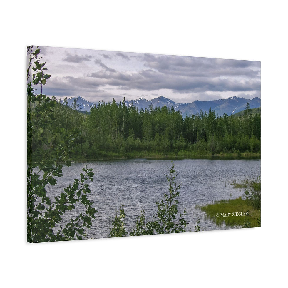 Thumbnail: "Stillwater Pines" Canvas Wrap, Long Lake, Chitina, Alaska