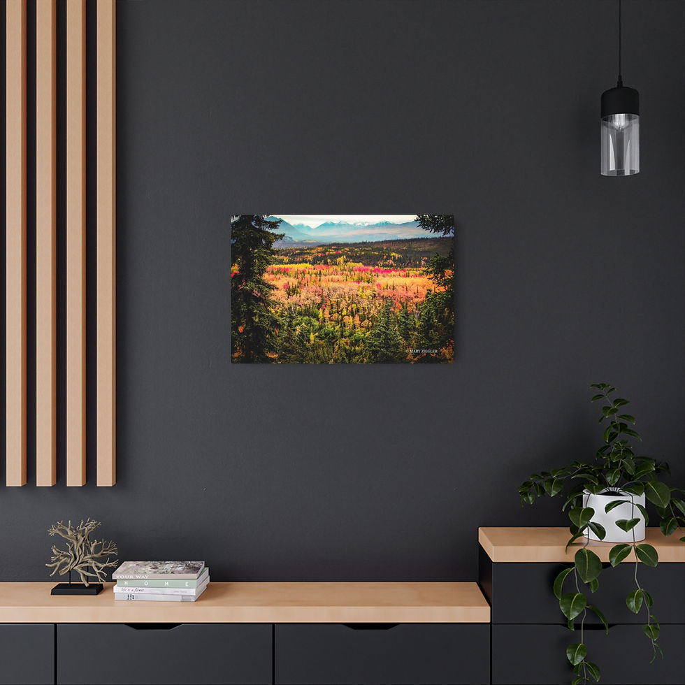 Thumbnail: "Awe of Denali" Metal Print, Denali National Park, Alaska