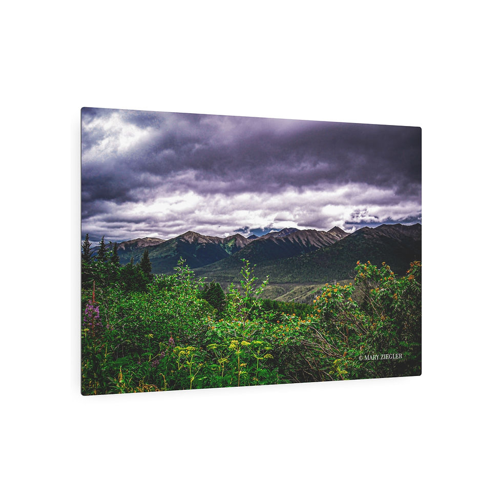 Thumbnail: Roots and Ridges Metal Print