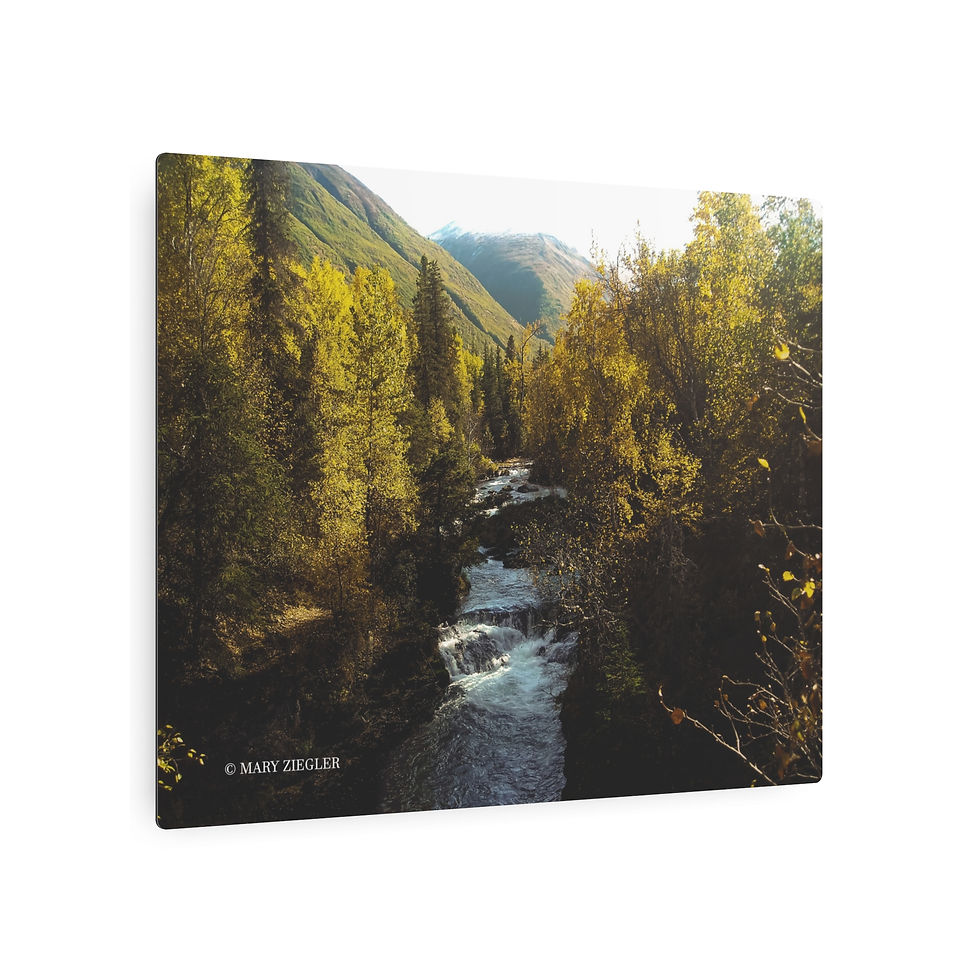 Thumbnail: "Amber Falls" Metal Print, Portage Valley Area, Alaska