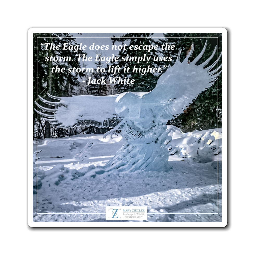 Thumbnail: Arctic Sentinel Quote Magnet