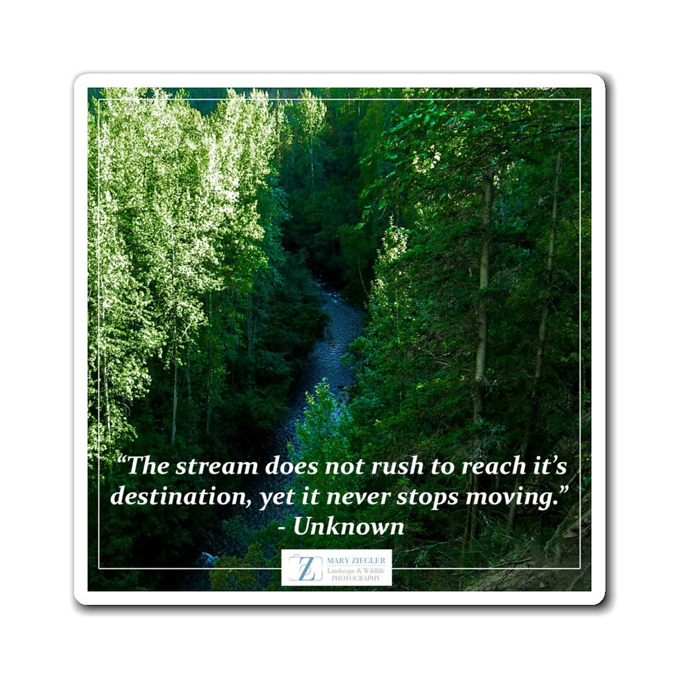 Thumbnail: Emerald Stream Quote Magnet