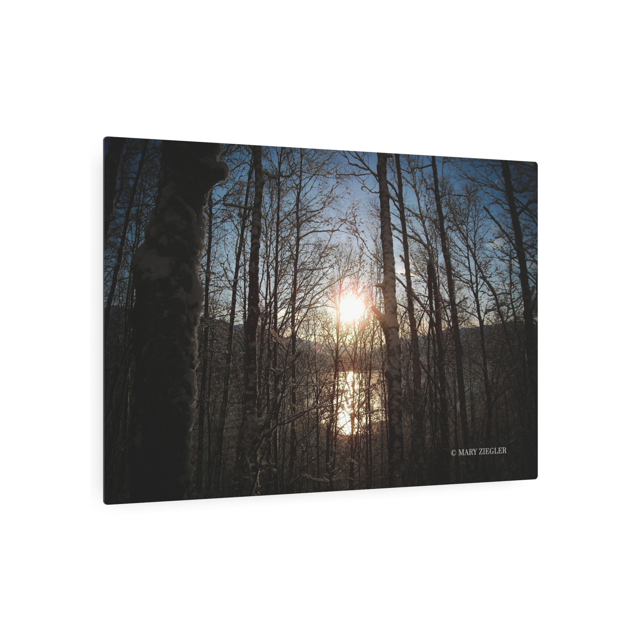 Promise of a New Dawn Metal Print