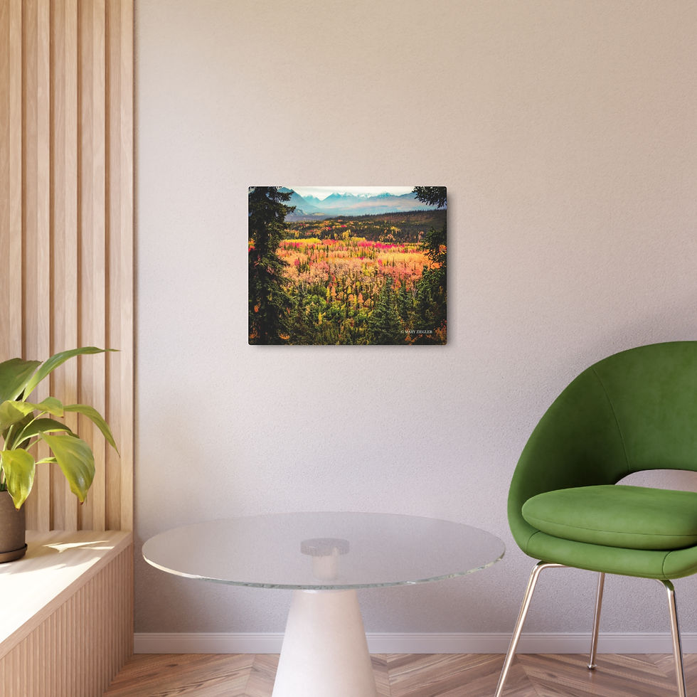 Thumbnail: "Awe of Denali" Metal Print, Denali National Park, Alaska