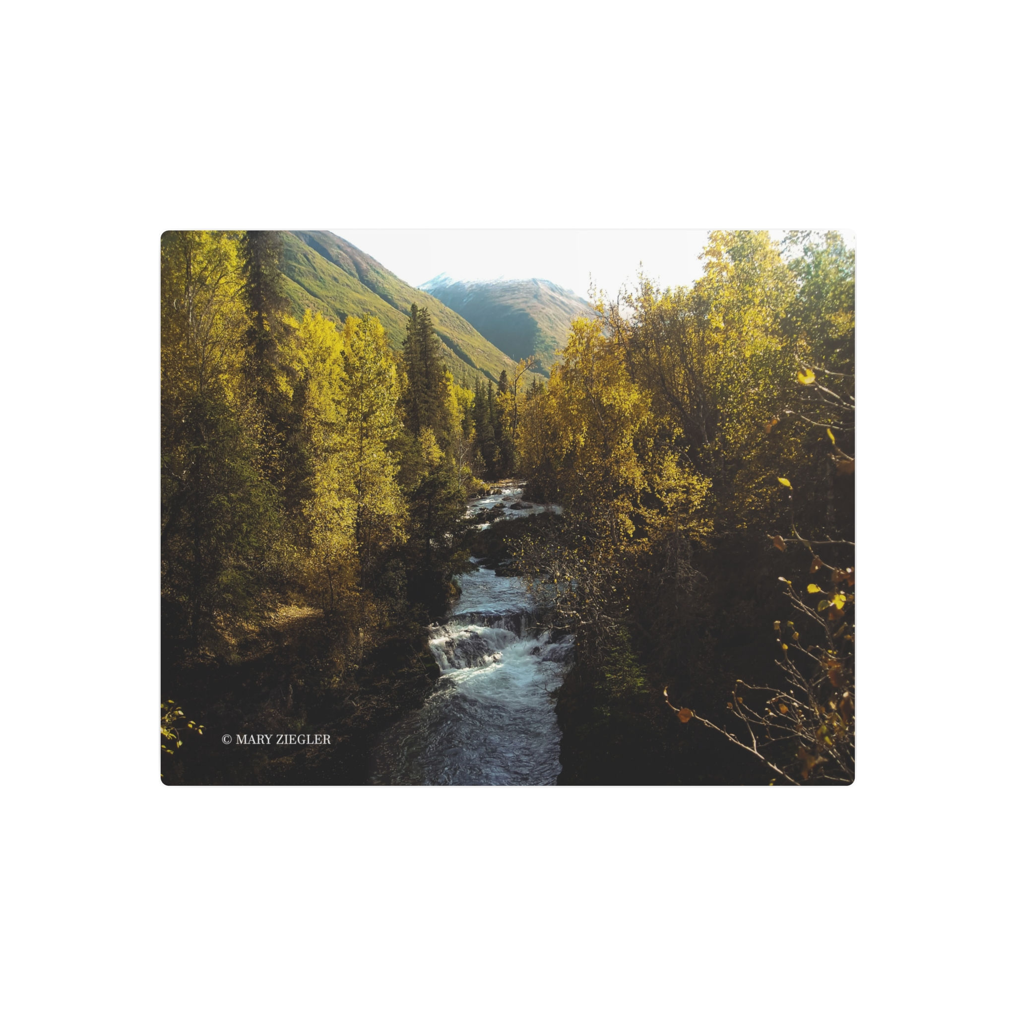 "Amber Falls" Metal Print, Portage Valley Area, Alaska