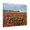 Thumbnail: Bold Colors Canvas Wrap